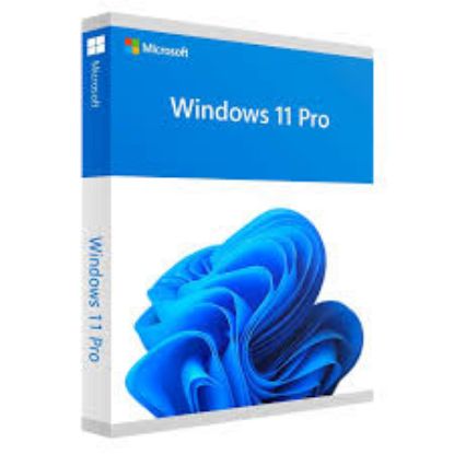 Picture of Microsoft Windows 11 Pro