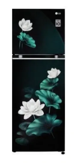 Picture of LG Refrigerator test 1