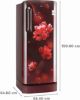 Picture of LG 224L Single Door Refrigerator